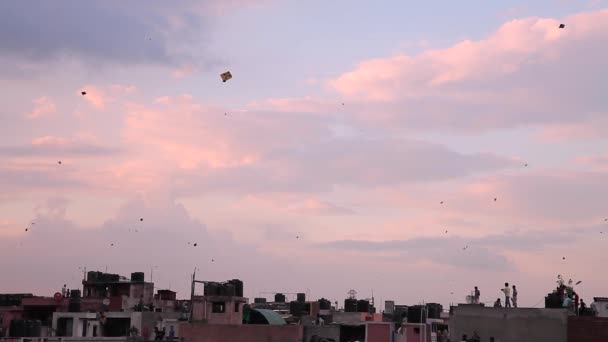 Święto Niepodległości Indii Młodzi Mężczyźni Puszczają Latawce Dachu New Delhi — Wideo stockowe