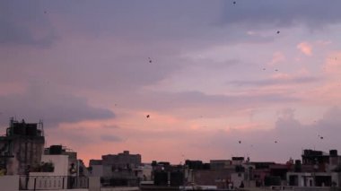 Hindistan 'ın Bağımsızlık Günü' nde, Yeni Delhi 'de gençler uçurtma uçuruyor.