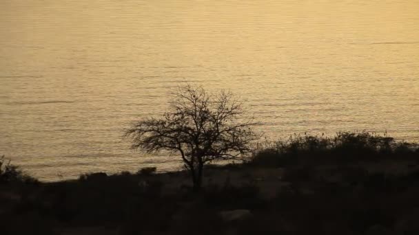 Gün Batımında Issyk Kul Güzel Göl Yüzeyi — Stok video