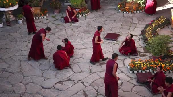 Boeddhistische Monniken Debatteren Traditionele Praktijken — Stockvideo