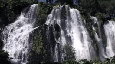 Dağ şelale, vahşi sahne