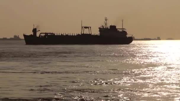 Σιλουέτα Φορτηγού Πλοίου Ηλιοβασίλεμα — Αρχείο Βίντεο