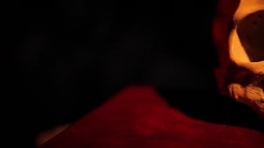 İnsan kafatası yakın çekim, olay yeri - arkeoloji