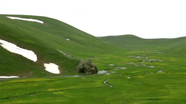 Grüne Tallandschaft Die Berge — Stockvideo