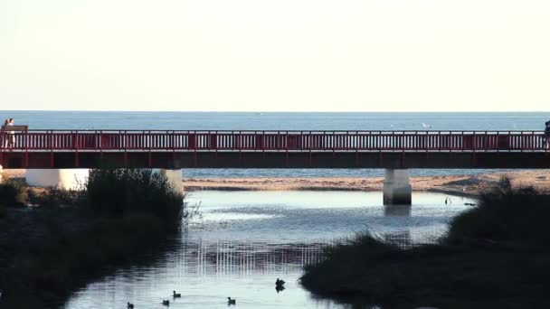 Lampadaire Pont Avec Des Gens Qui Marchent Vue Sur Mer — Video