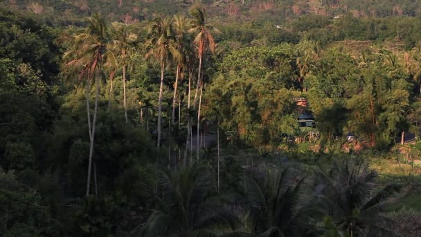 Tropicale Foresta Pluviale Giungla Vista Inferno Verde Sanye Isola Hainan — Video Stock