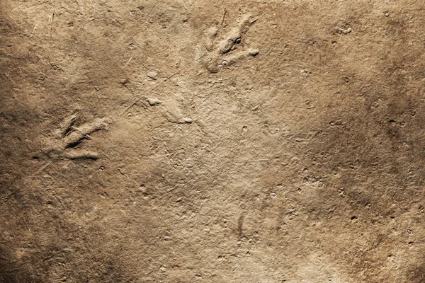 Gerçek dinozor fosili künye, dinozor ayak izi