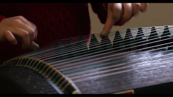 Practicing Chinese Guzheng Chinese Traditional Instrument — Stock Video