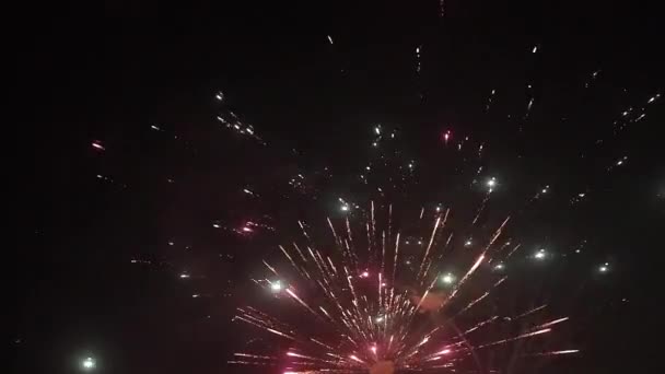 Vuurwerk Aan Nachtelijke Hemel — Stockvideo