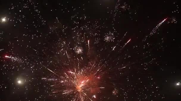 Fuochi Artificio Cielo Notturno — Video Stock