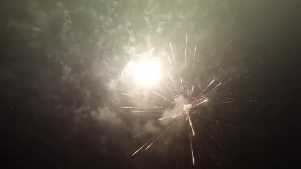 Vuurwerk Aan Nachtelijke Hemel — Stockvideo