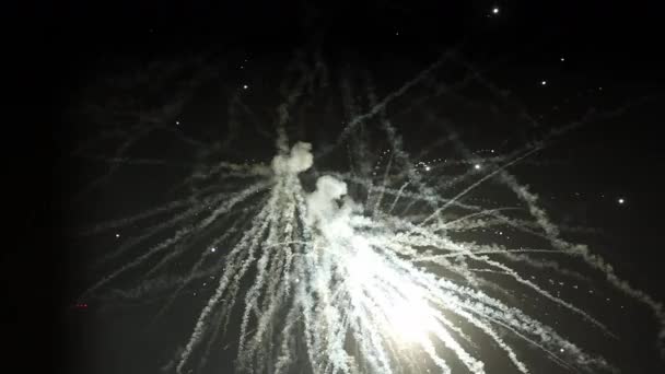 Feuerwerk Nachthimmel — Stockvideo