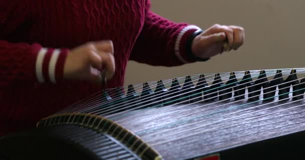 Практикуючі Китайський Guzheng Китайська Традиційна Інструмент — стокове відео