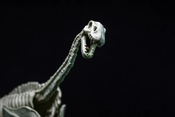 Brontozaura Modelu Szkielet Dinozaura — Zdjęcie stockowe