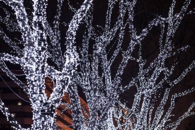  Ağaçlar, açık kış aydınlatma Noel ışıkları