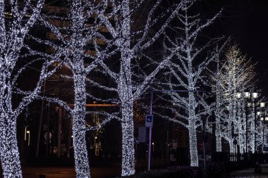  Ağaçlar, açık kış aydınlatma Noel ışıkları