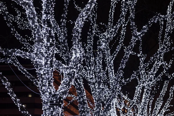 Iluminación Invierno Luces Navidad Los Árboles Aire Libre — Foto de Stock
