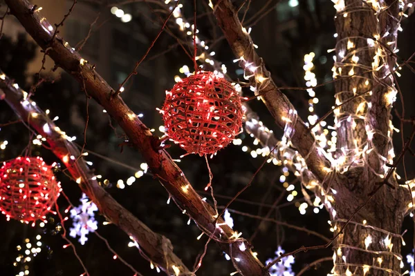 Luces Navidad Aire Libre Árbol Decoración Ciudad Año Nuevo — Foto de Stock