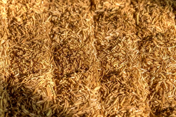 Wheat Straw Background Texture Natural Sunlight — Stock Photo, Image