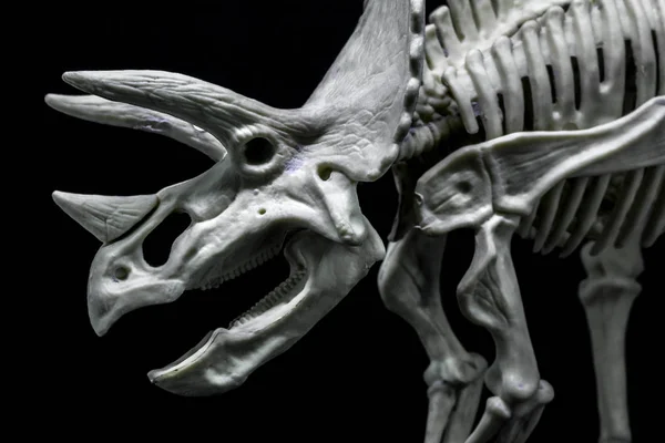Triceratops Dinozor Iskelet Modeli — Stok fotoğraf