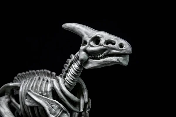 Model Szkieletu Dinozaura Saurolofusa — Zdjęcie stockowe