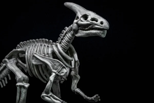 Saurolophus Dinozor iskelet modeli