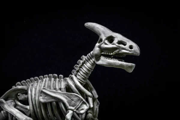 Saurolophus Modèle Squelette Dinosaure — Photo