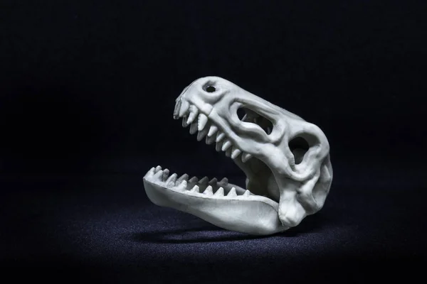 Tyranozaur Dinozaur Głowa Modelu Czaszki Czarnym Tle — Zdjęcie stockowe
