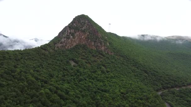 Aerial Drone Widok Mountain Peak, pokryte lasem, powolne panning — Wideo stockowe
