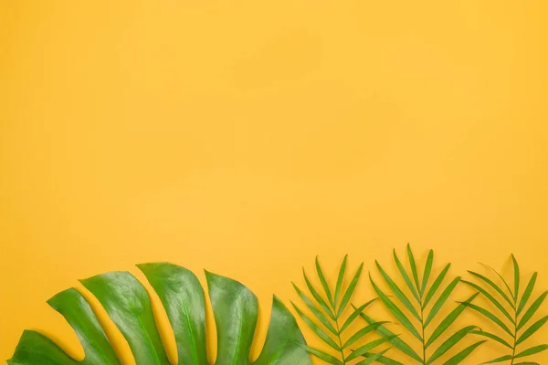 Hojas Palmera Sobre Vibrante Fondo Amarillo Tema Verano Tropical — Foto de Stock