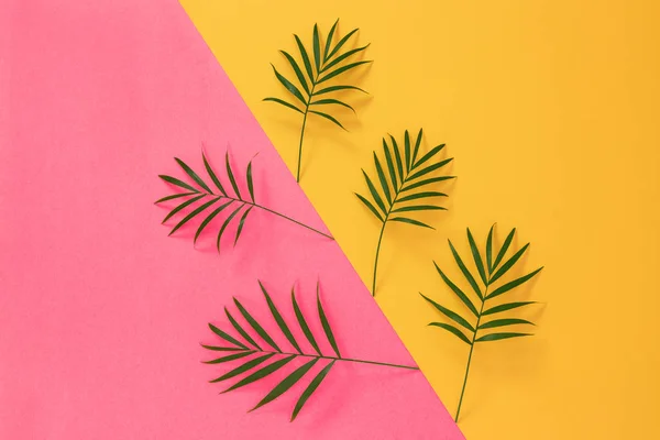 Palm Bladeren Levendige Roze Gele Achtergrond Tropische Zomer Achtergrond — Stockfoto