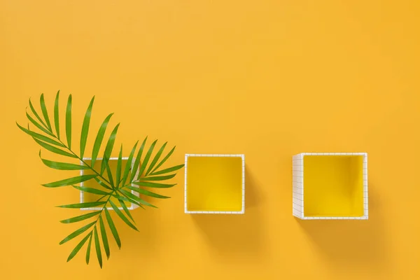 Palm Tree Listy Krabicích Světle Žlutém Podkladu Letní Výzdoba — Stock fotografie