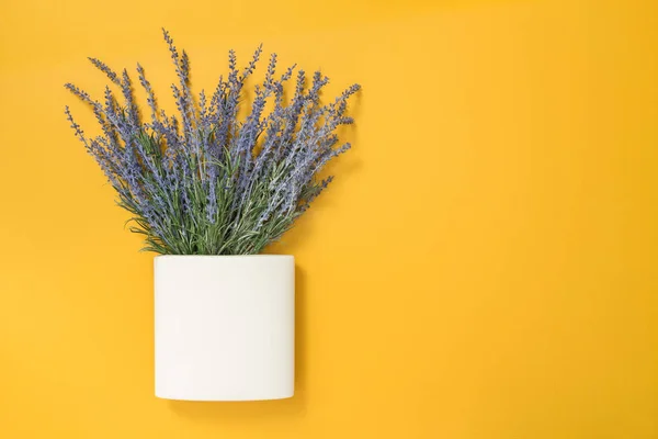 Bloeiende Blauwe Lavendel Een Vierkante Witte Vaas Gele Achtergrond — Stockfoto