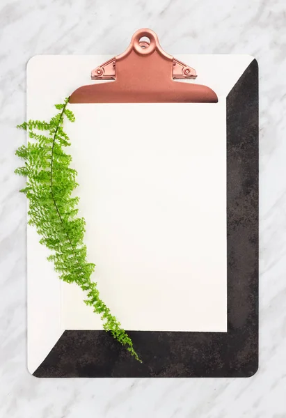 Stijlvolle Klembord Met Blanco Vel Papier Versierd Met Groene Fern — Stockfoto