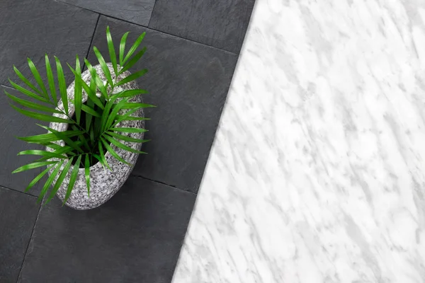 Palm Bladeren Een Vaas Graniet Leisteen Natuursteen Marmeren Achtergrond Natuurlijke — Stockfoto