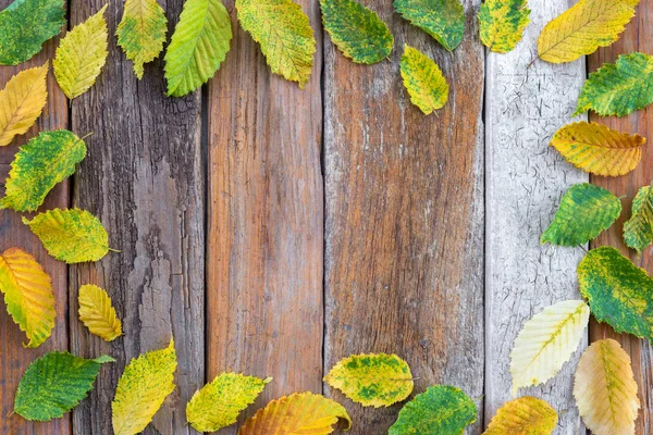 Cadre Fait Feuilles Automne Lumineuses Sur Vieux Fond Bois Feuilles — Photo