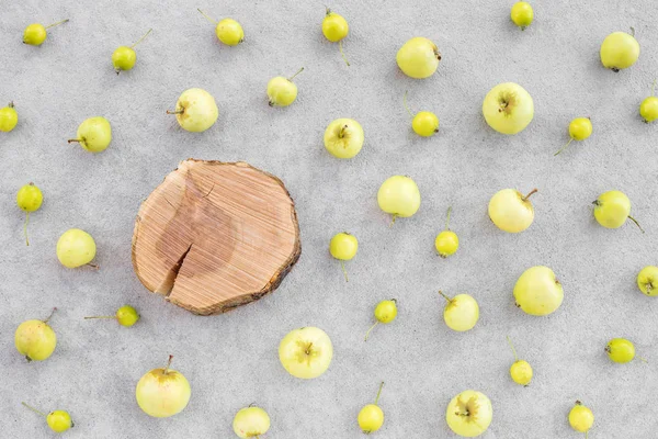 Manzanas Silvestres Tocón Manzano Con Espacio Para Copiar Sobre Fondo —  Fotos de Stock