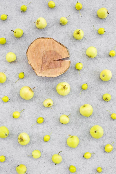 Manzanas Silvestres Tocón Manzano Con Espacio Para Texto Sobre Fondo —  Fotos de Stock