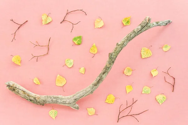 Spadané Listí Větve Suché Stromu Pastelově Růžové Pozadí Podzimní Inspirace — Stock fotografie