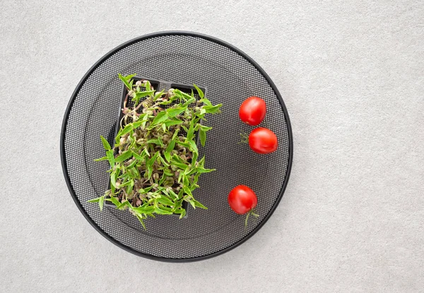 Healthy eating. Green haricot sprouts and cherry tomatoes. Vegetarian food.