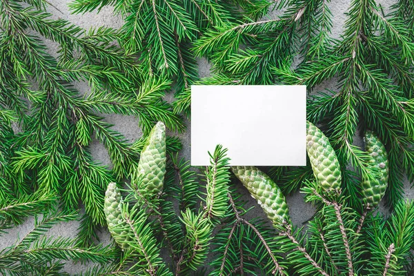 Cartão Branco Branco Com Espaço Cópia Ramos Abeto Verde Com — Fotografia de Stock