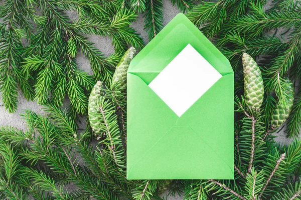 杉木树枝带锥和绿色信封与空白贺卡 — 图库照片