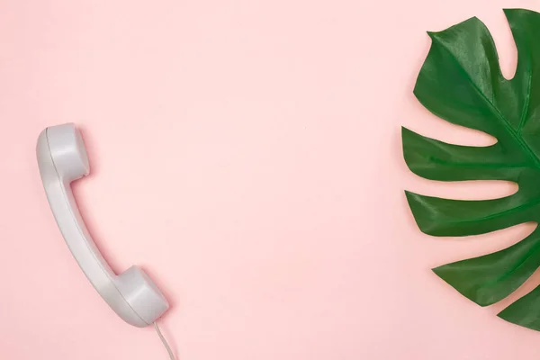 Traditionele Telefoon Ontvanger Monstera Palm Leaf Pastel Roze Achtergrond Met — Stockfoto