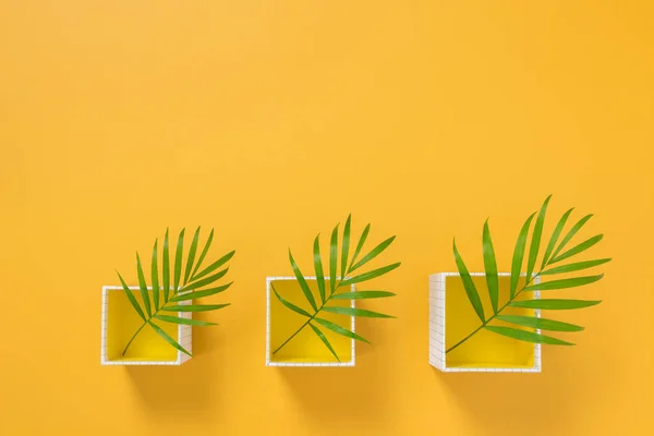 Boxes with green palm leaves on vivid yellow background. Summer decor.