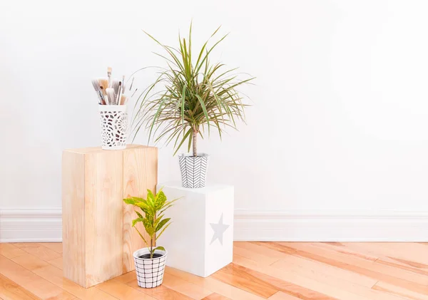 Verfborstels Kamerplanten Handgeschilderde Keramiek Potten Goud Stof Croton Plant Dracaena — Stockfoto