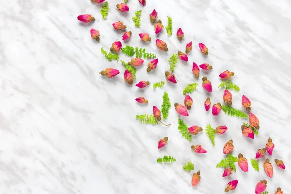 Gedroogde Rozen Groen Fern Bladeren Marmeren Achtergrond Met Kopie Ruimte — Stockfoto