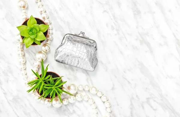 シルバー財布 多肉植物 コピー領域を持つ大理石の背景に 真珠のネックレス 美容とファッション — ストック写真