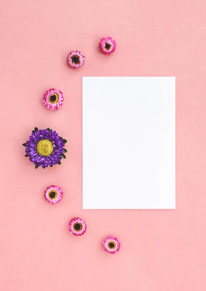 ピンクのキャンバスにコピー スペースを紙の白いシート Strawflowers アスター — ストック写真