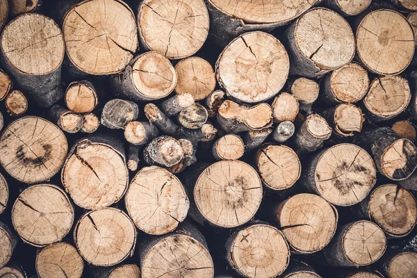 Pile of cut wooden logs — Stock Photo, Image