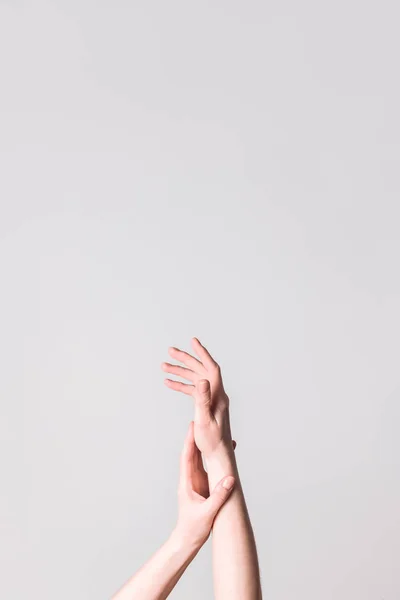 Elegant hands on neutral background